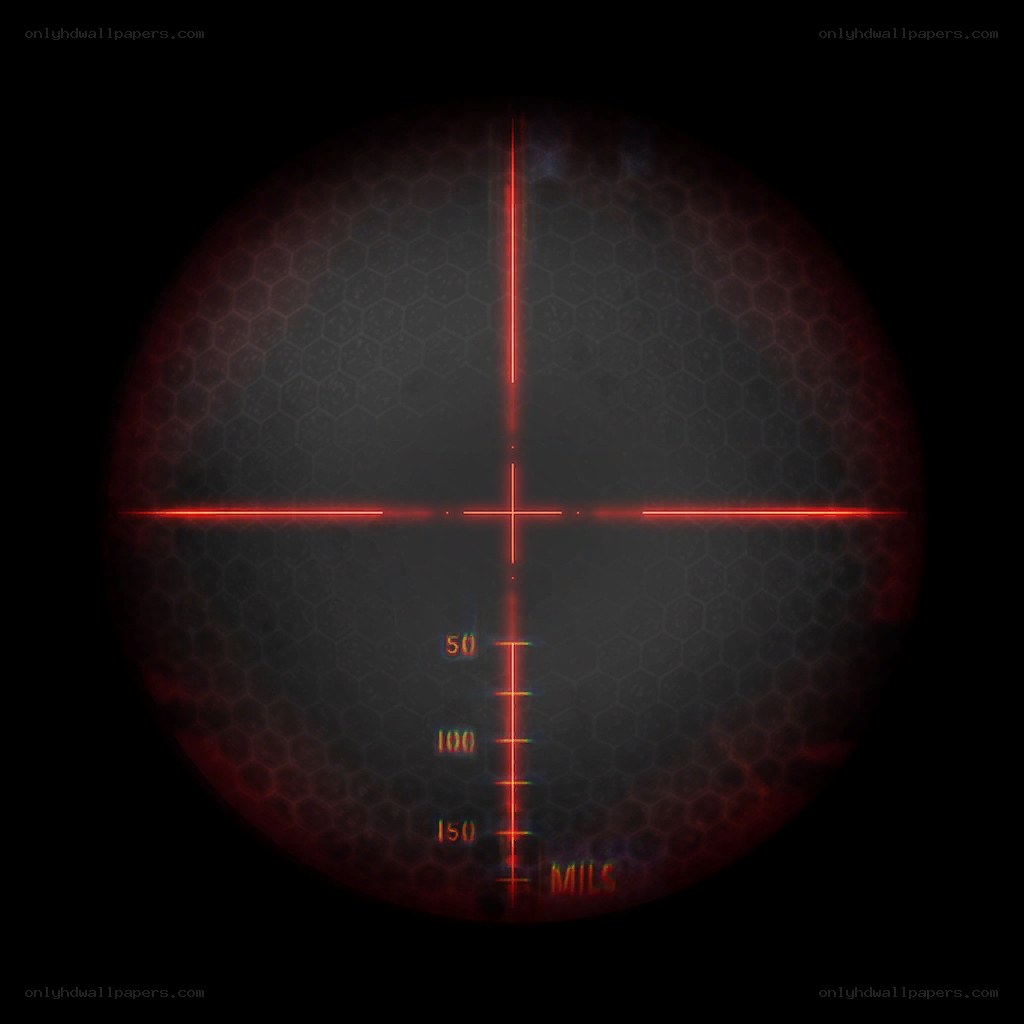 red dot sight view