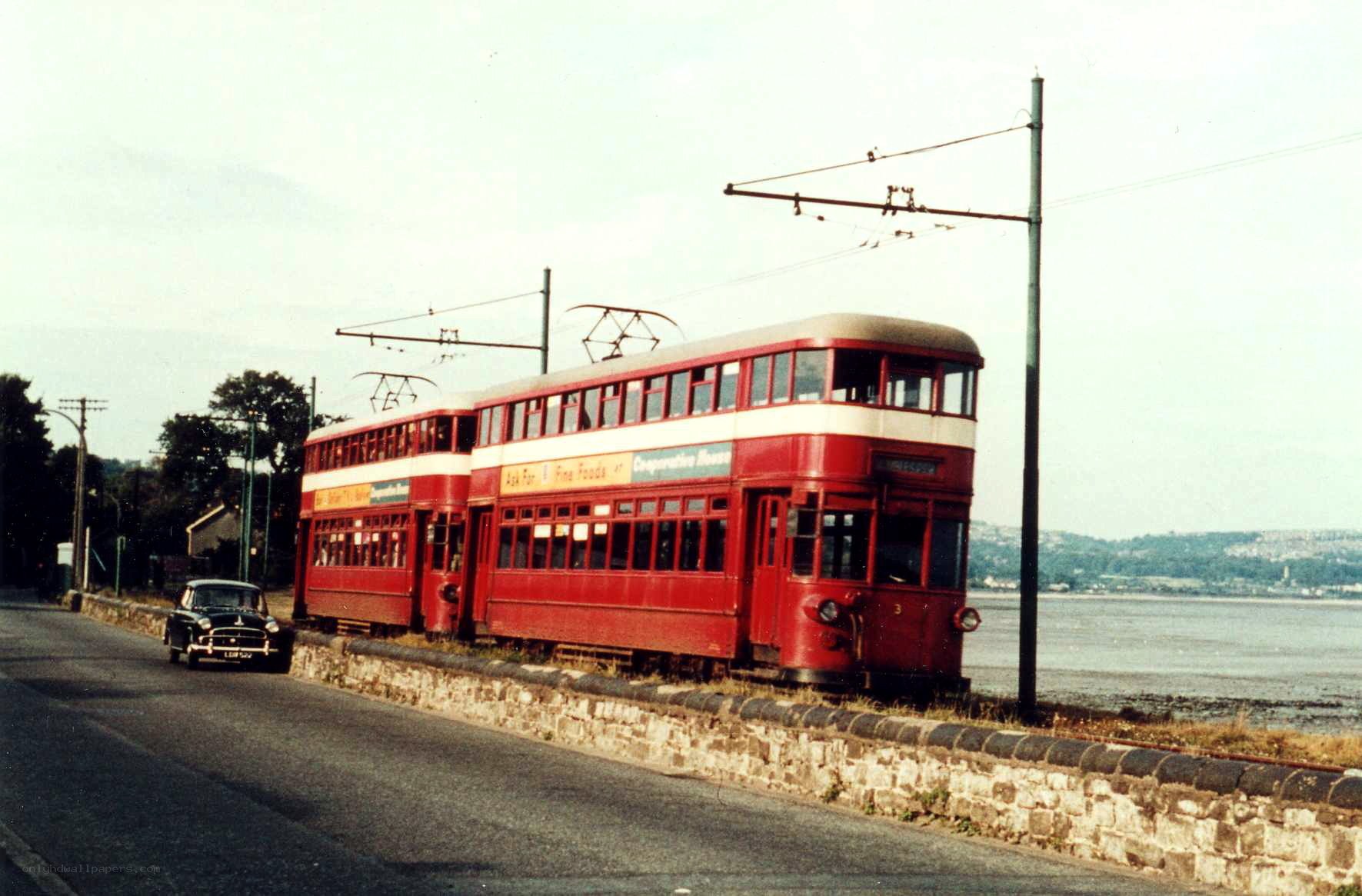 Red double-decker trams by the water