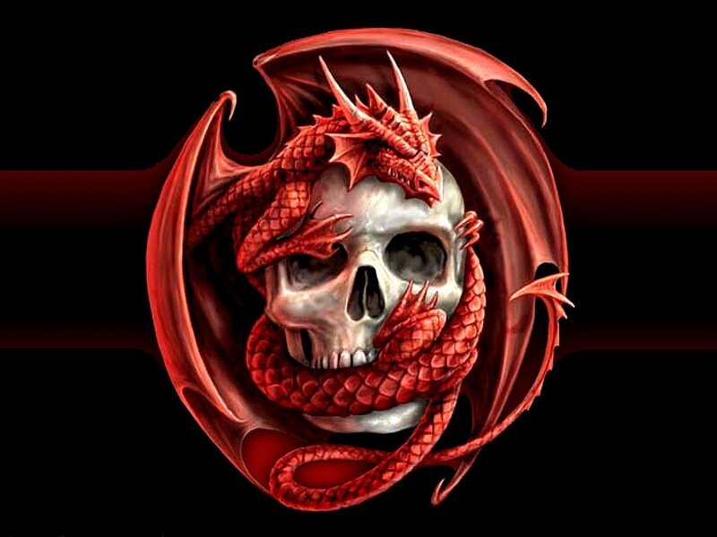 Red dragon coiled around skull