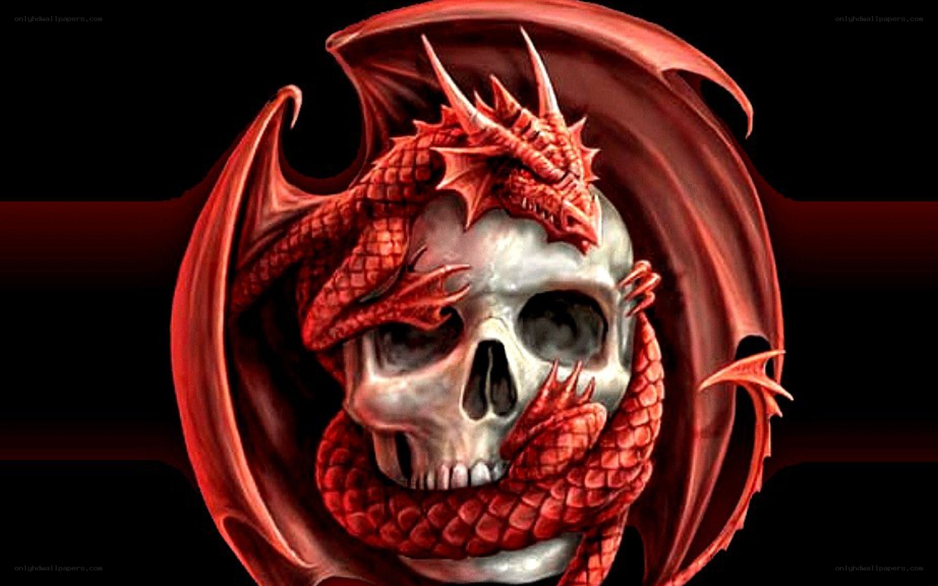 red dragon coiled around skull