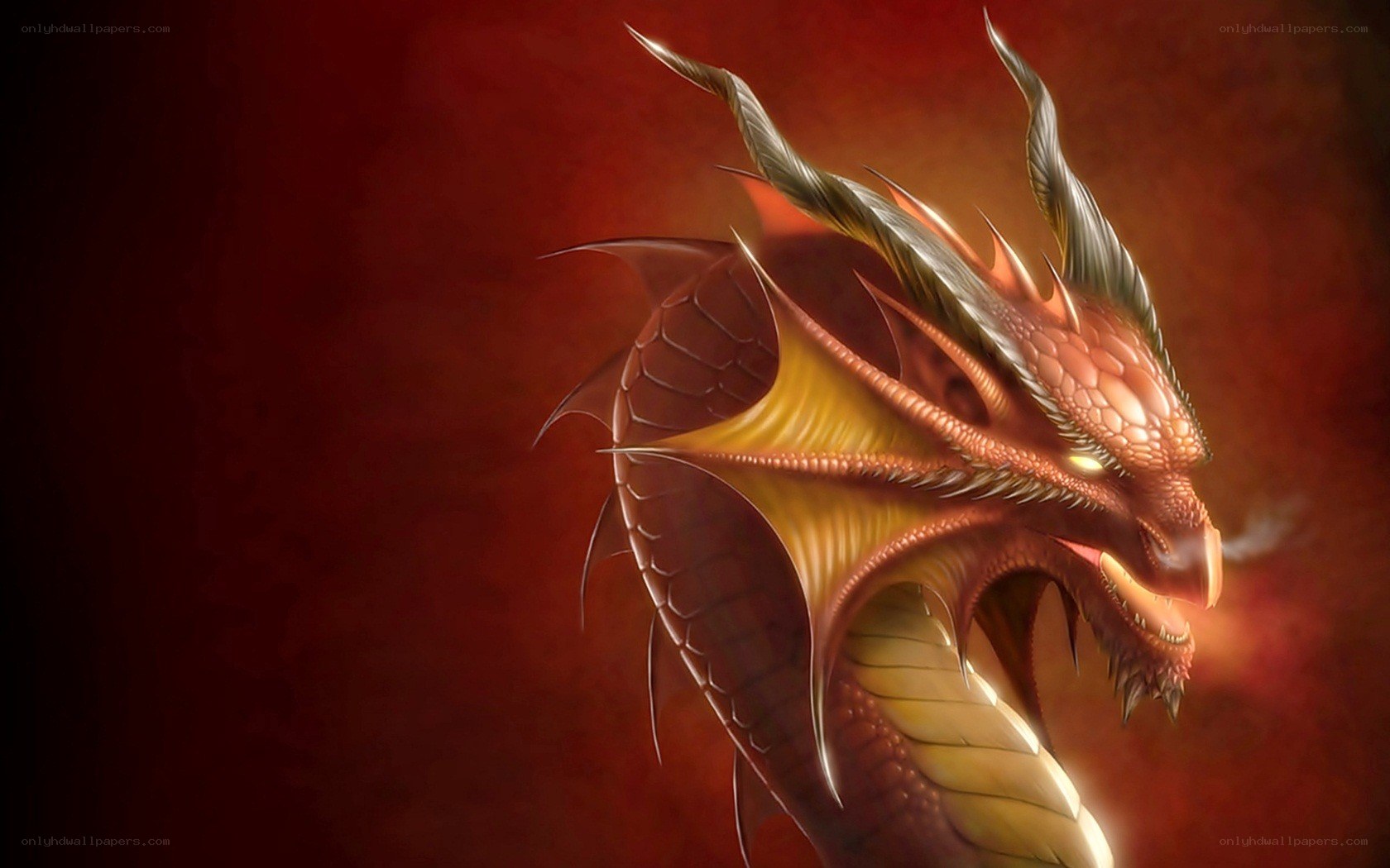 red dragon fantasy artwork