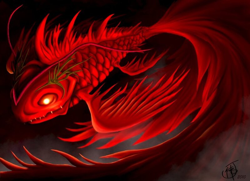 Red Dragon Fish