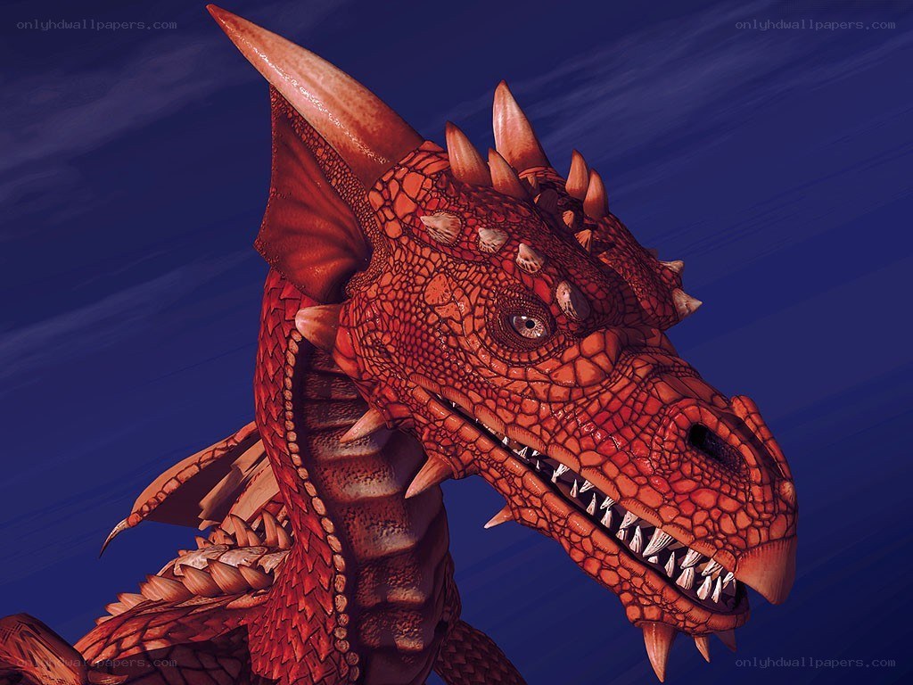 red dragon head close-up