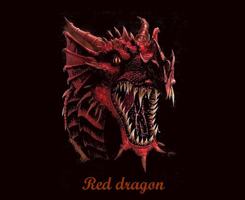 red dragon head illustration