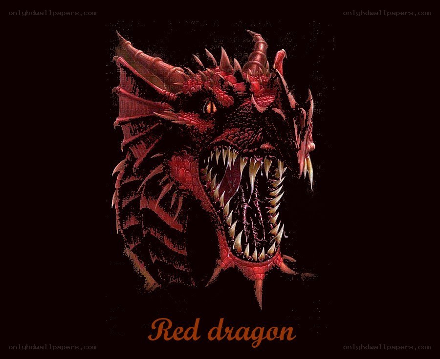 red dragon head illustration