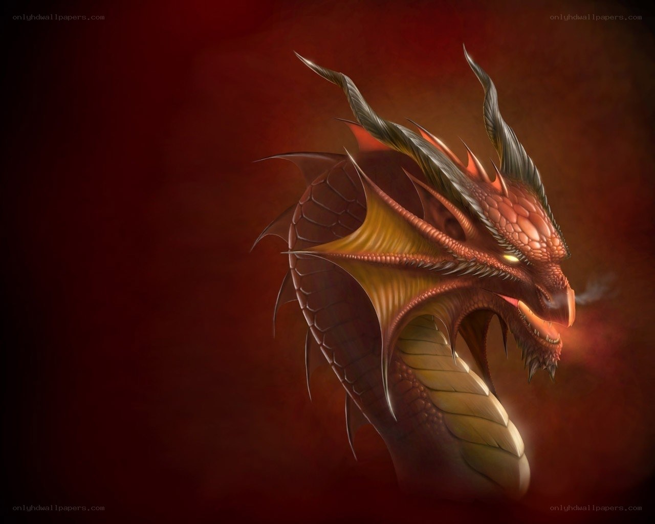 red dragon head portrait