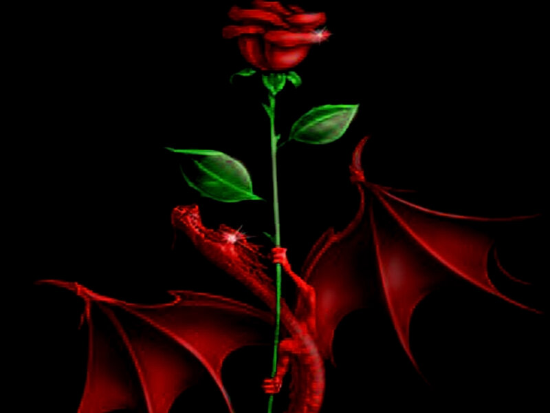 Red Dragon Holding Rose