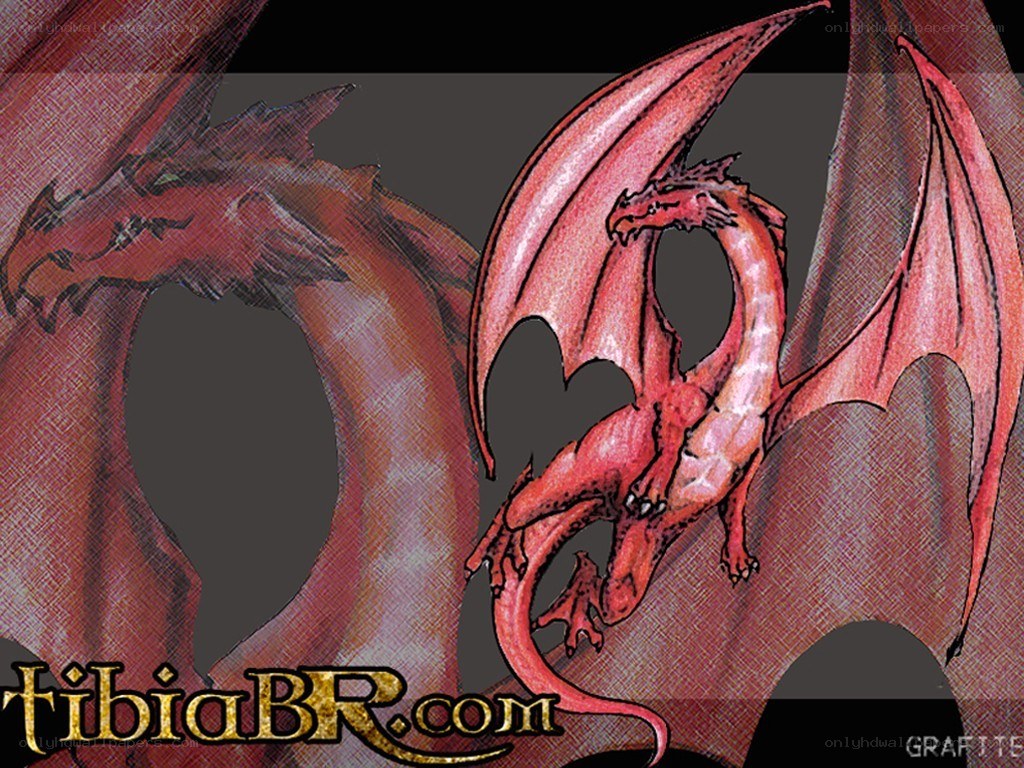 Red dragon illustration