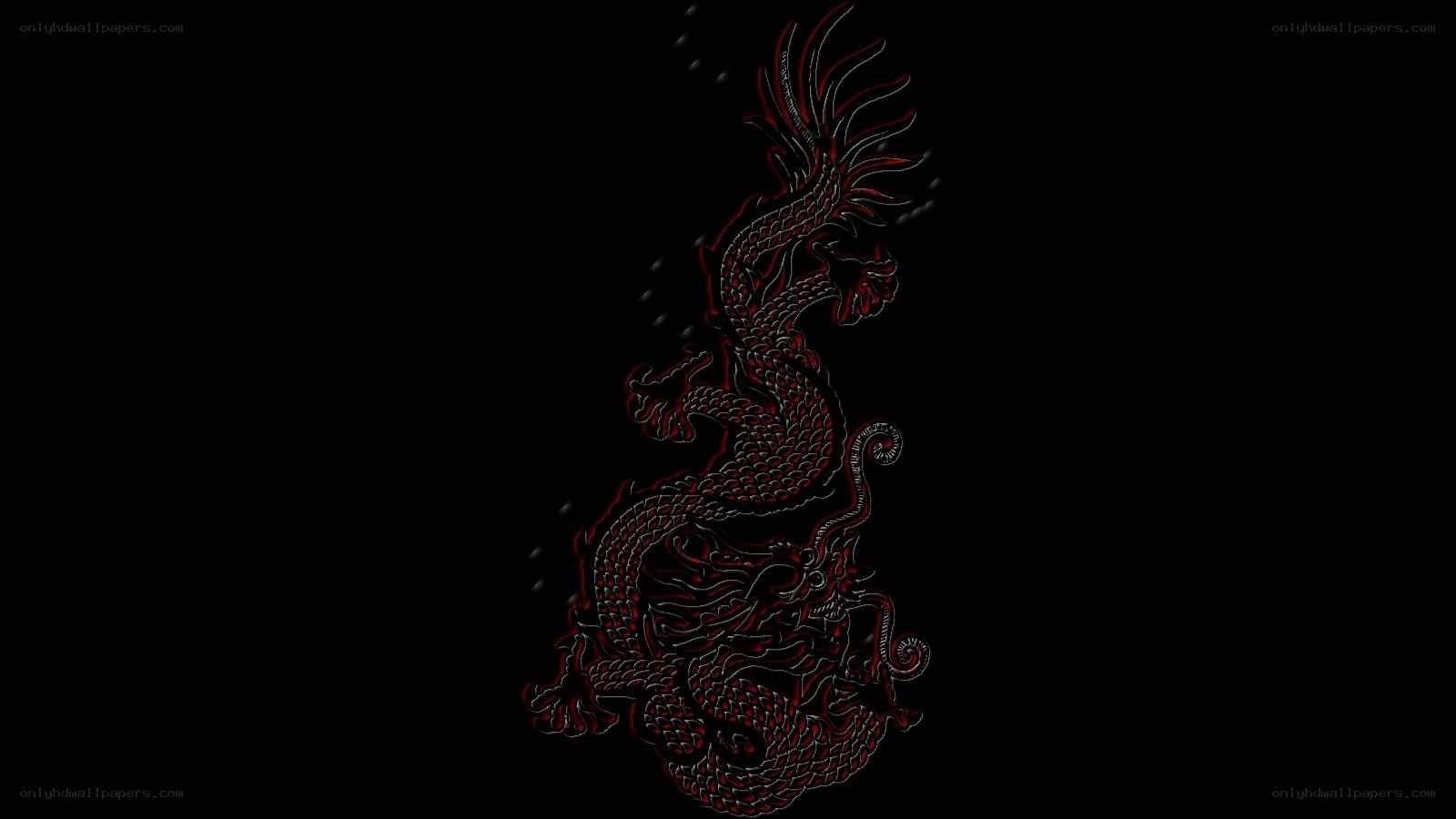 red dragon illustration