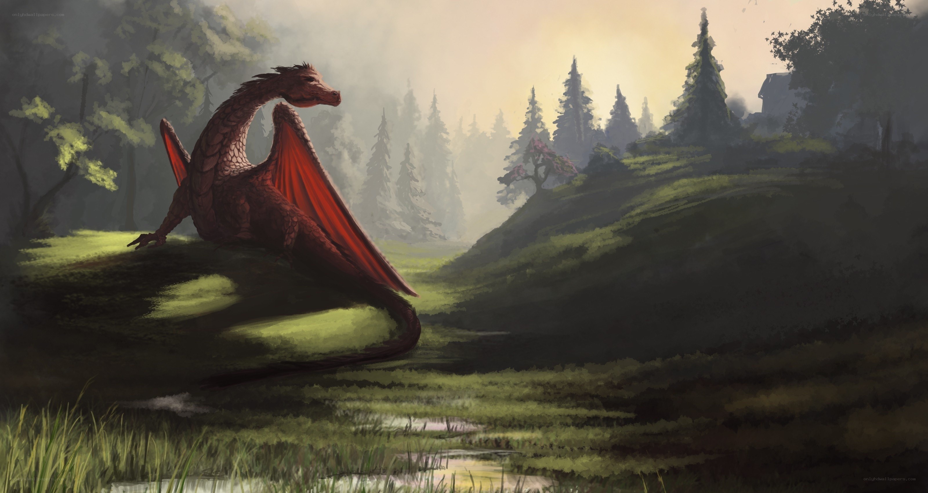 Red dragon in a misty forest