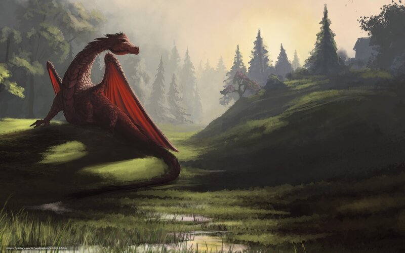 Red dragon in a misty forest