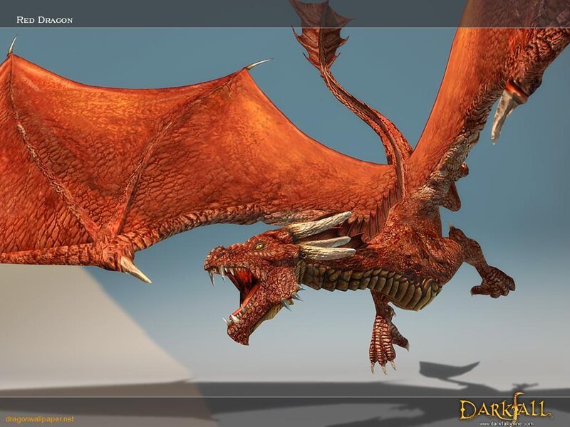 Red dragon in flight