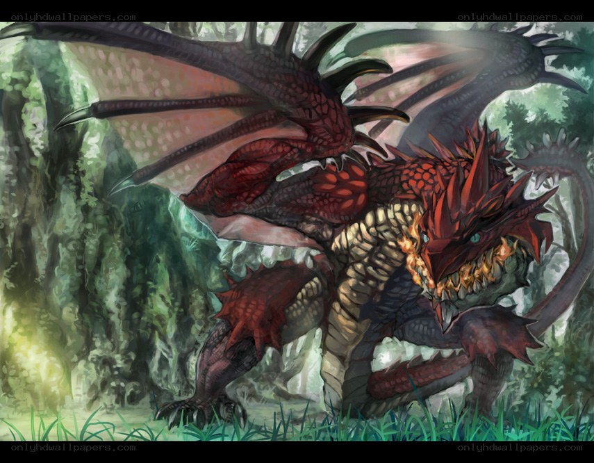 red dragon in forest