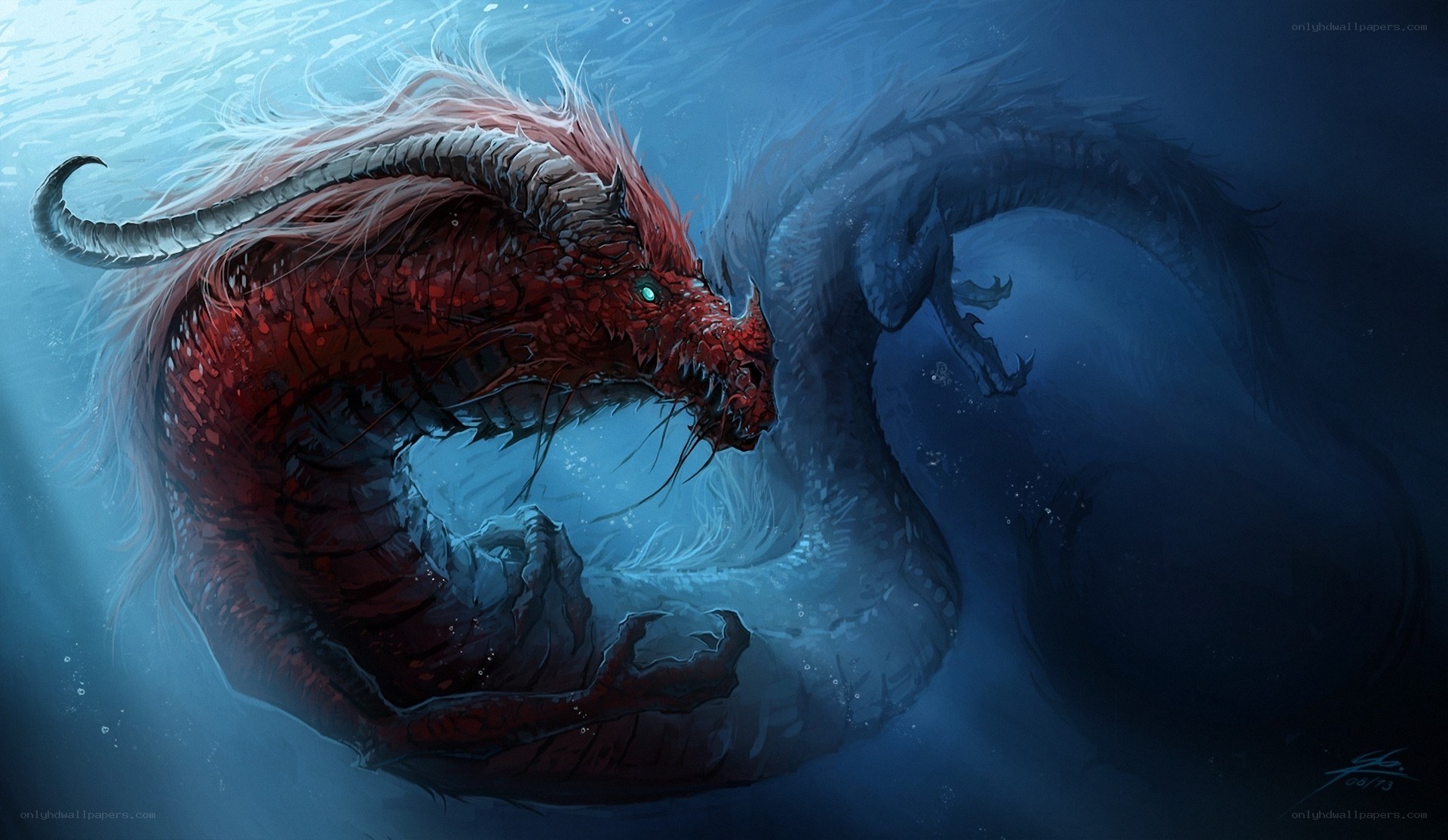 Red dragon in underwater battle