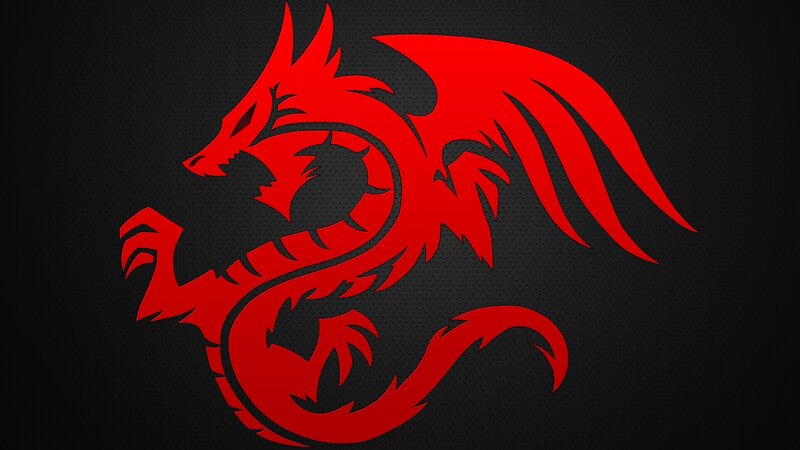 red dragon logo on dark background