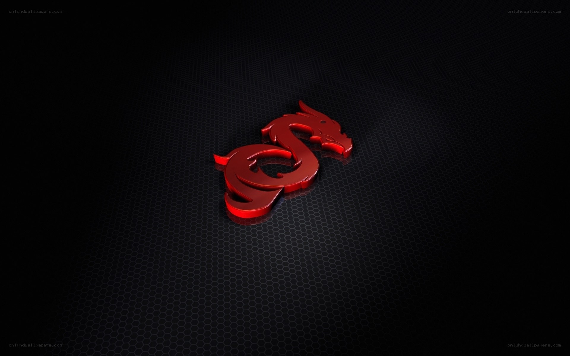 red dragon logo on dark background