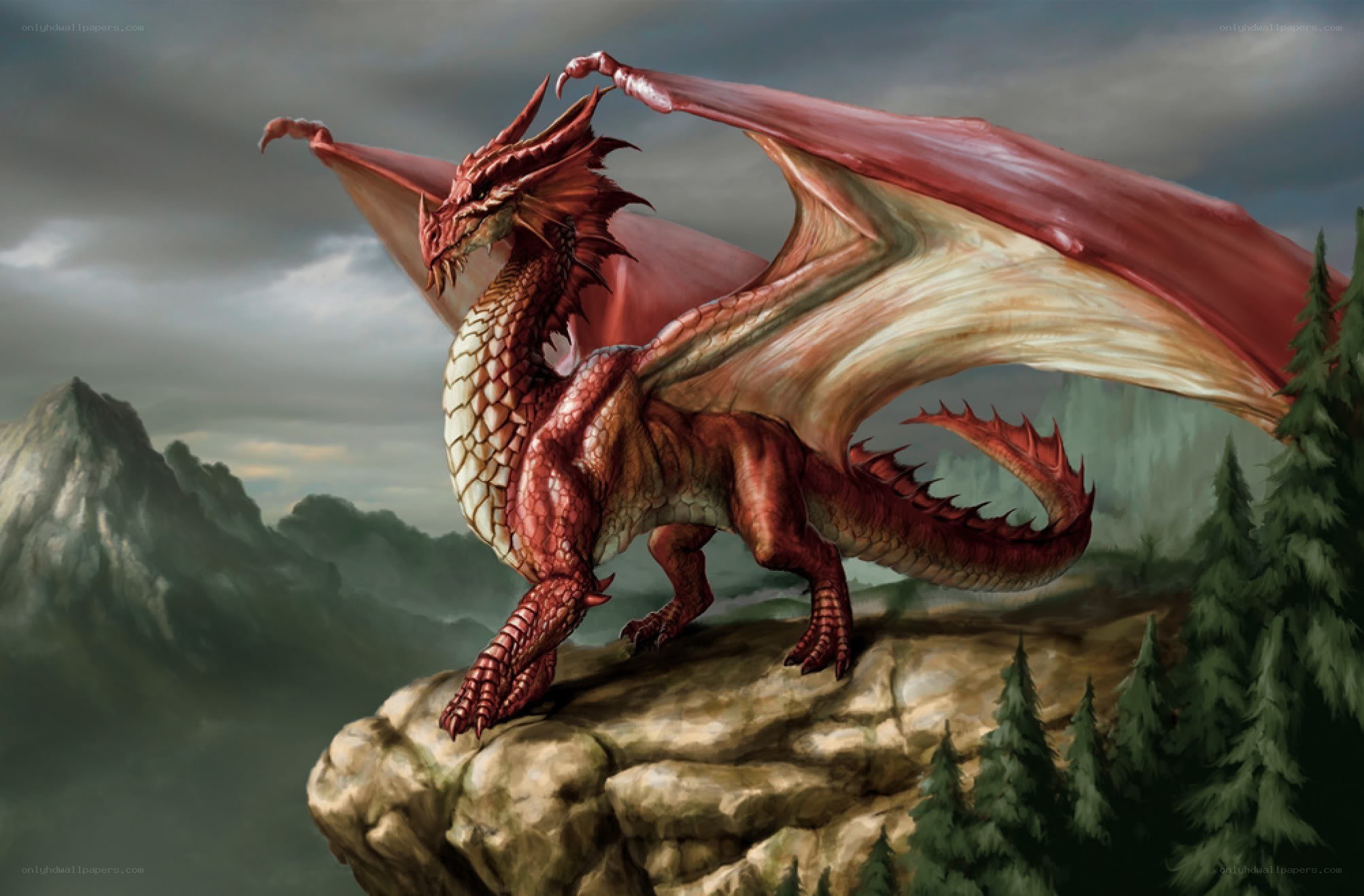 Red dragon on a cliff