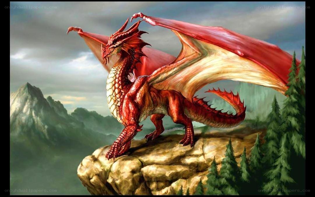 Red dragon on a cliff