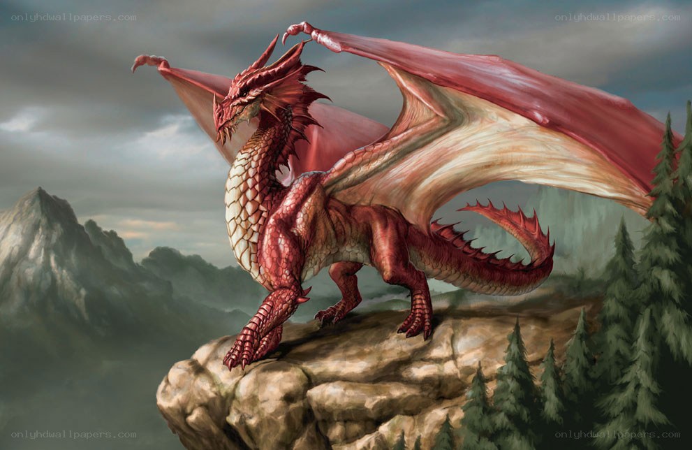 Red dragon on a cliff