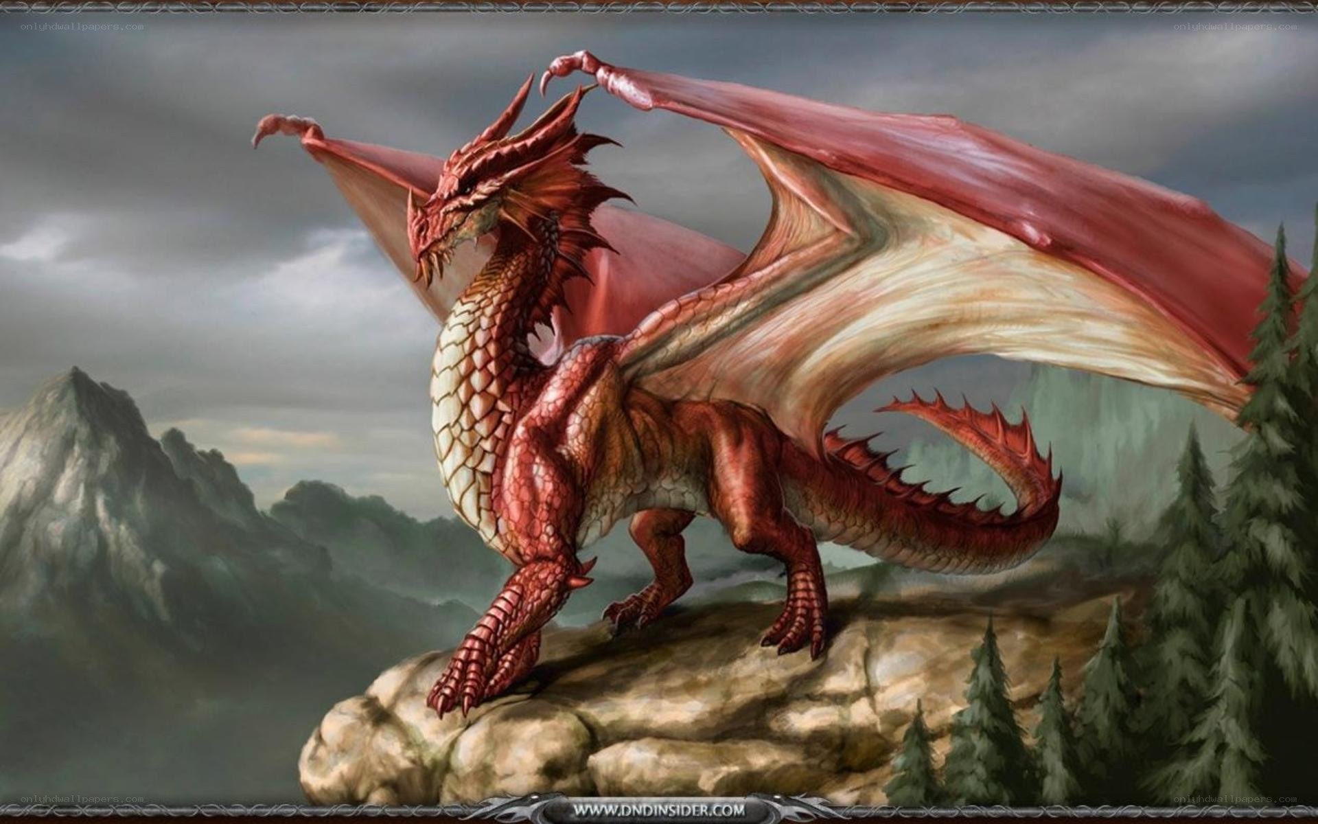 Red dragon on a mountain