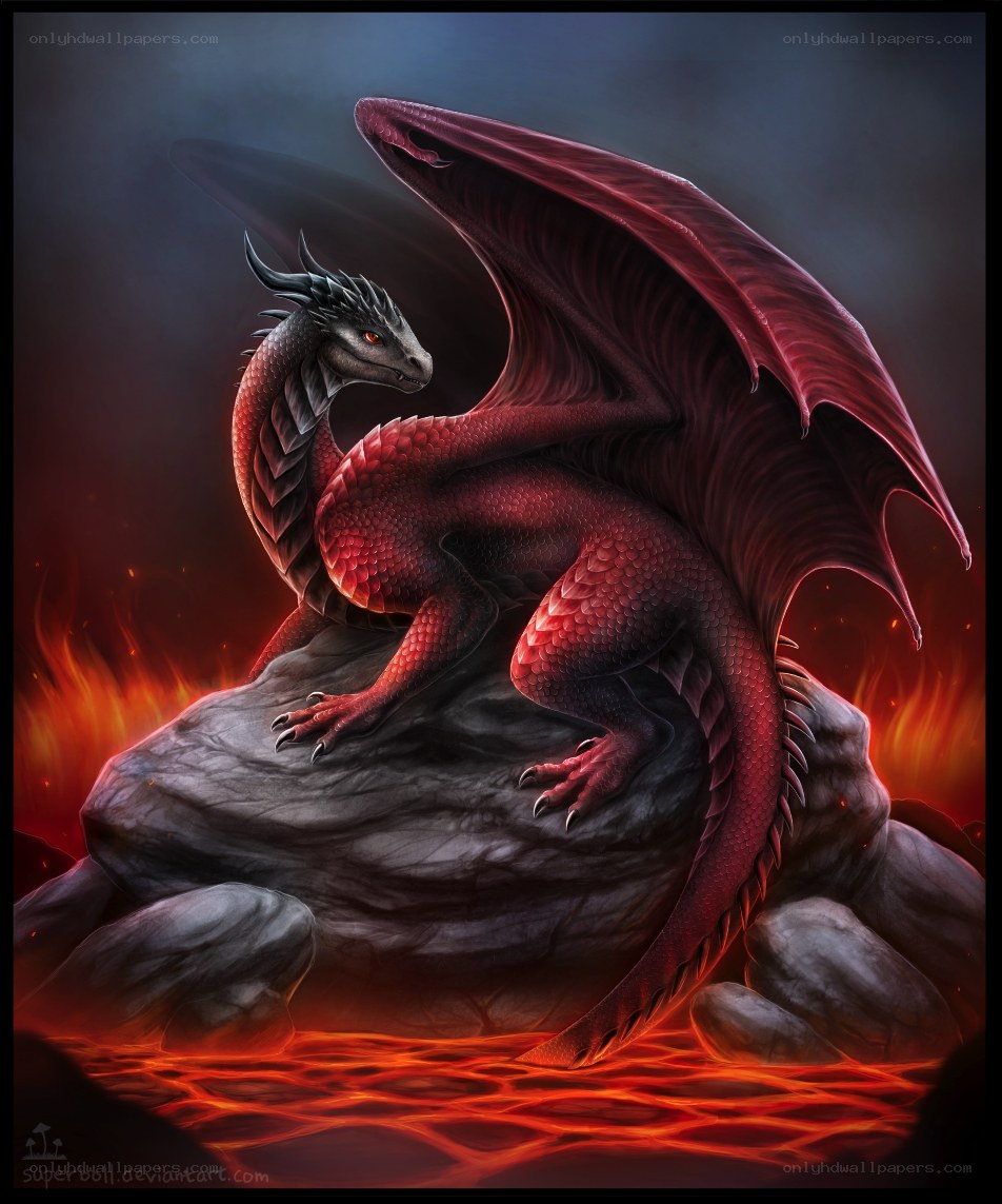 Red dragon on a volcanic rock