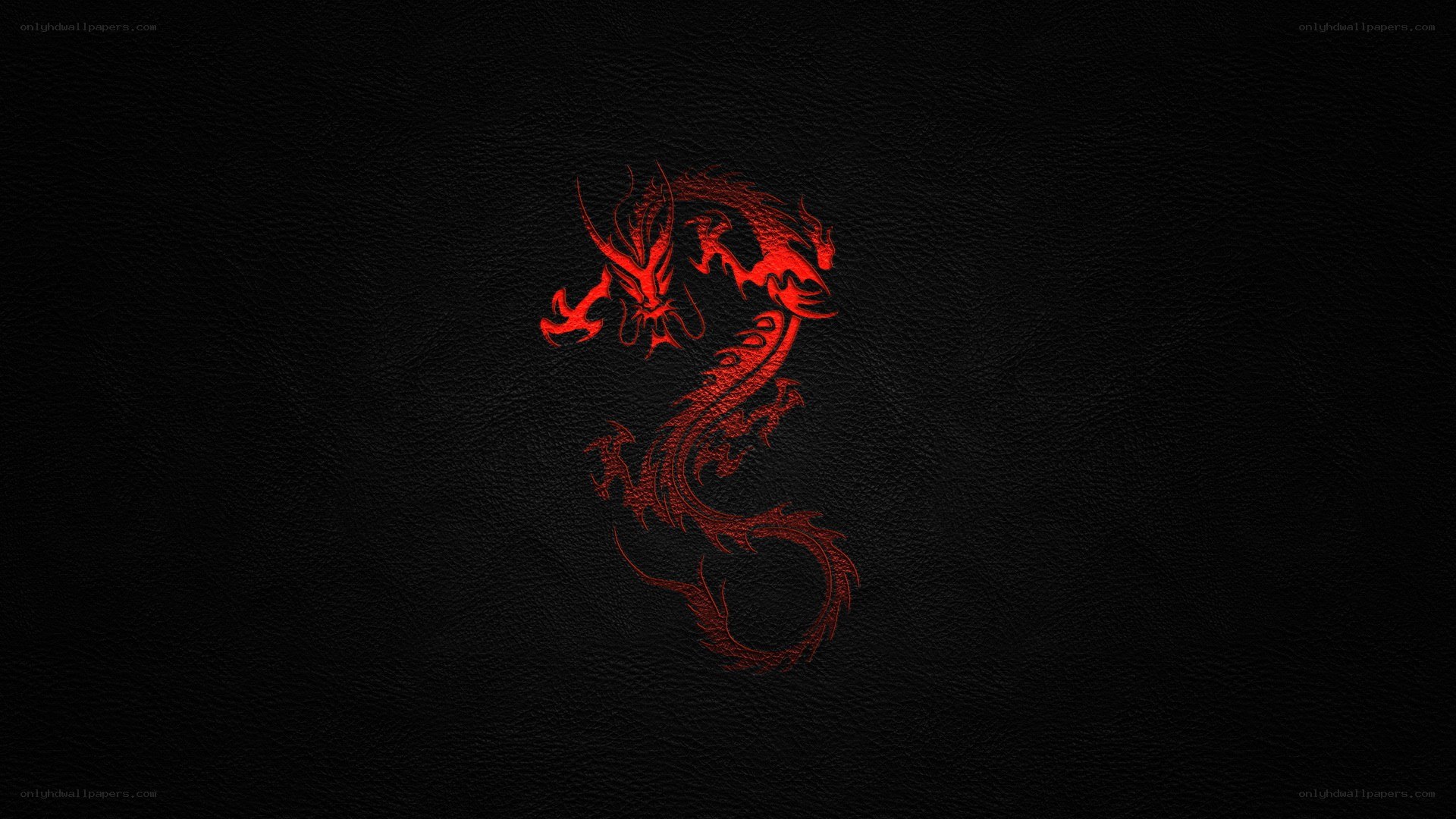 Red dragon on black leather