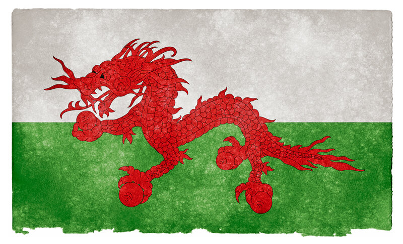 Red Dragon on Flag — Formal