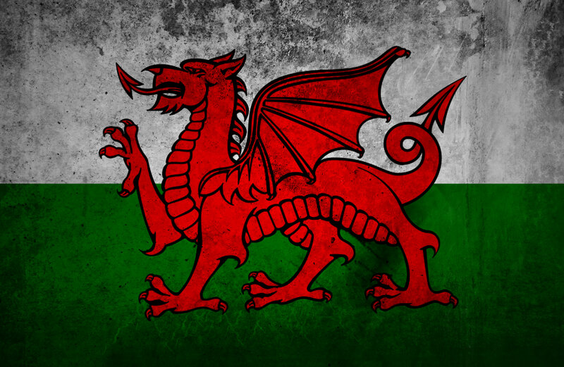 Red Dragon on Flag — Gritty