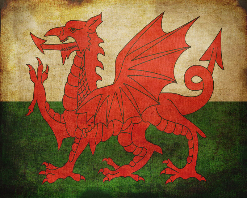 Red Dragon on Flag — Proud, Illustration, Green and White Background