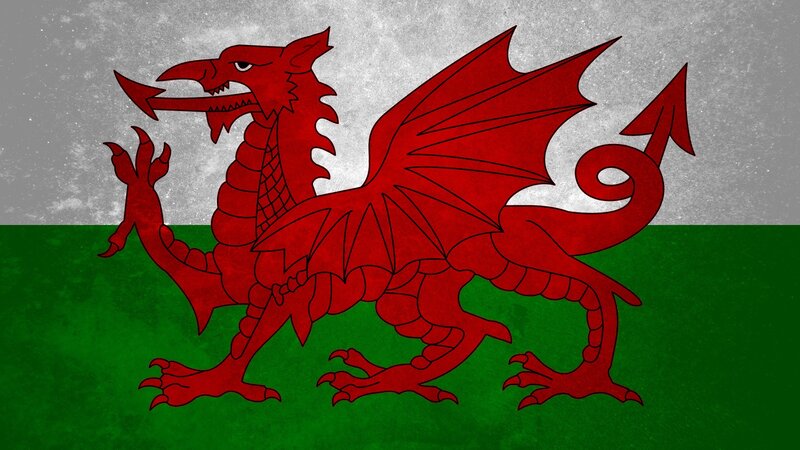 Red Dragon on Flag — Proud, Illustration