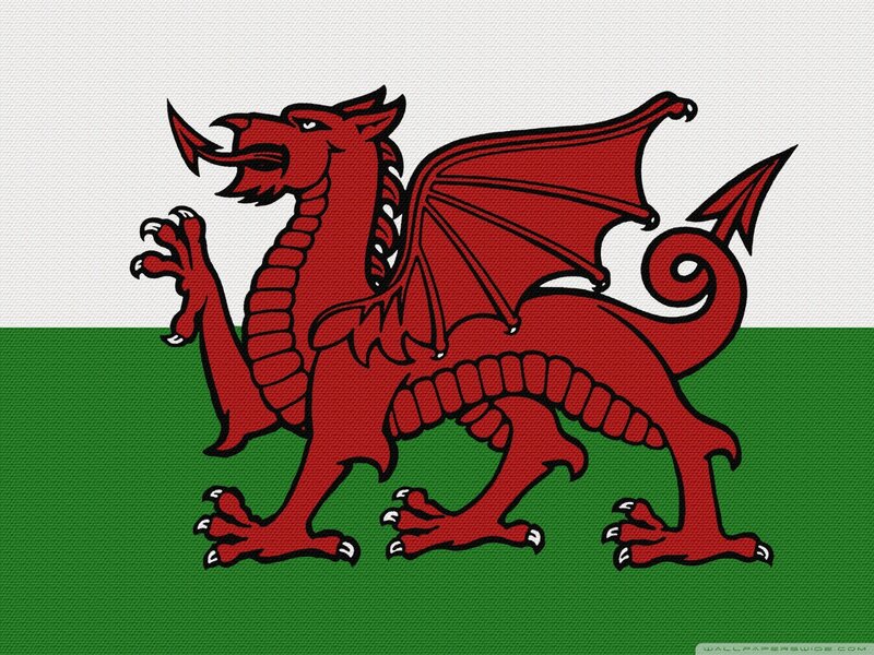 Red Dragon on Flag — Proud, Vector Art, Green and White Background