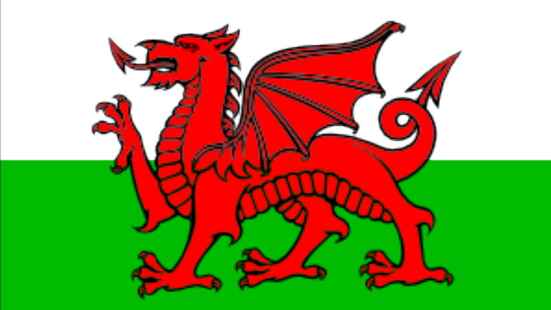 Red Dragon on Flag — Proud, Vector Art