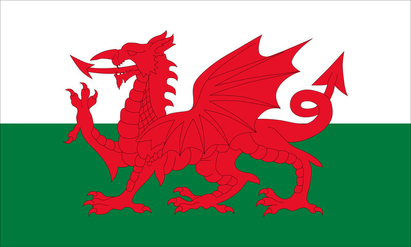 Red Dragon on Flag — Proud, Vector Art, White Stripe, Green Stripe