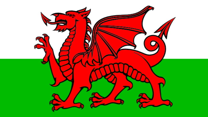 Red Dragon on Flag — Proud, Vector Art, White Stripe
