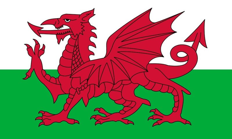 Red Dragon on Flag