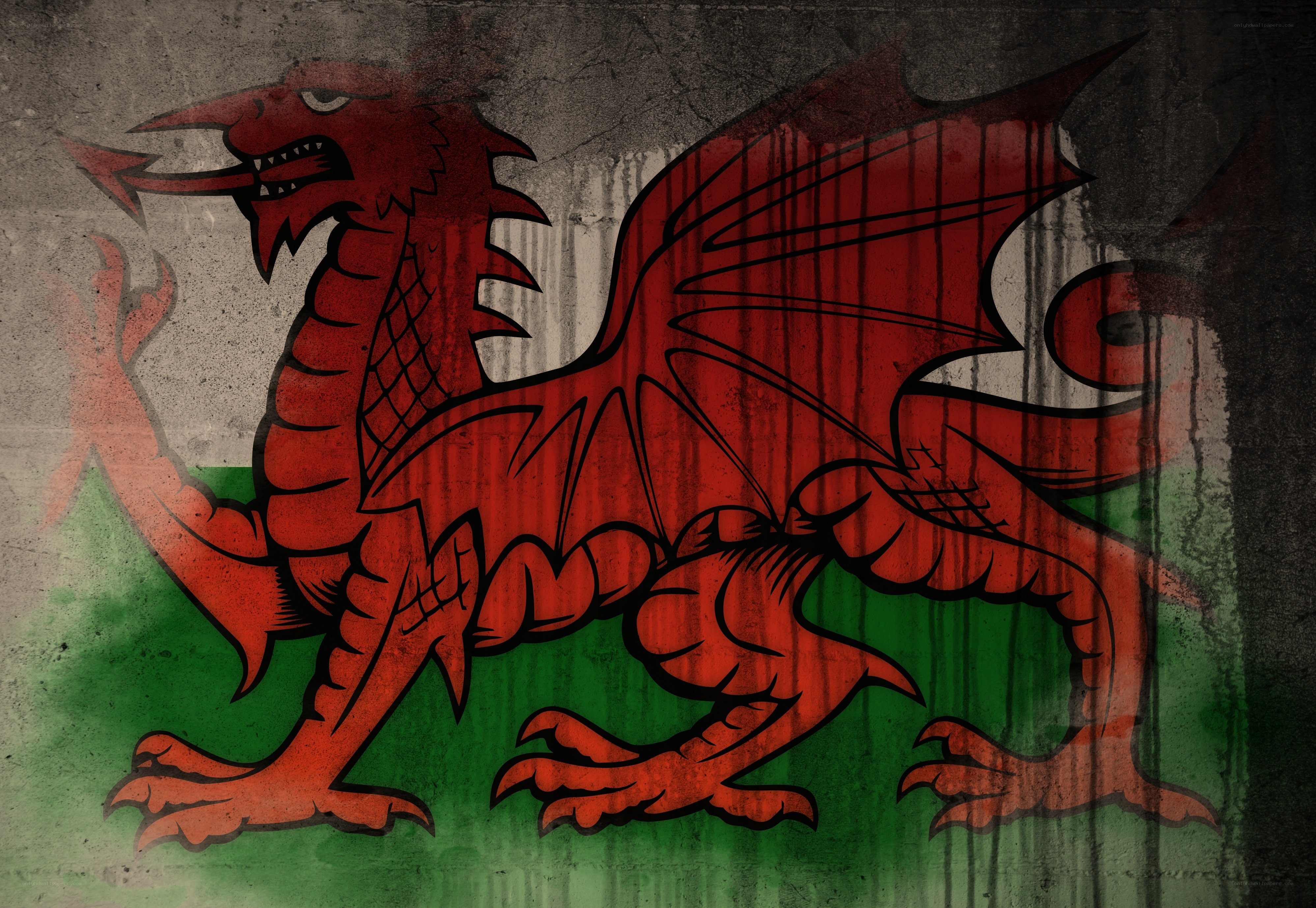 Red dragon on green and white