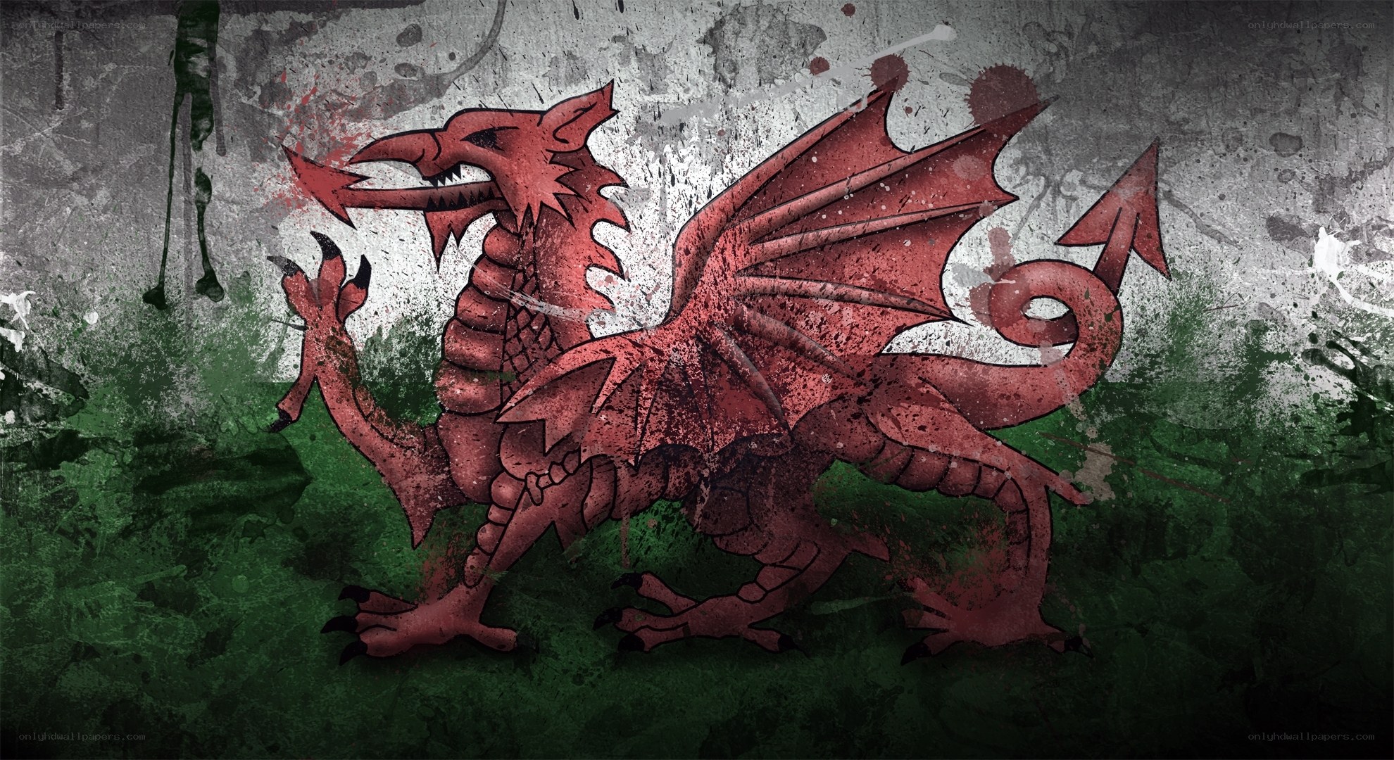 Red dragon on grungy flag