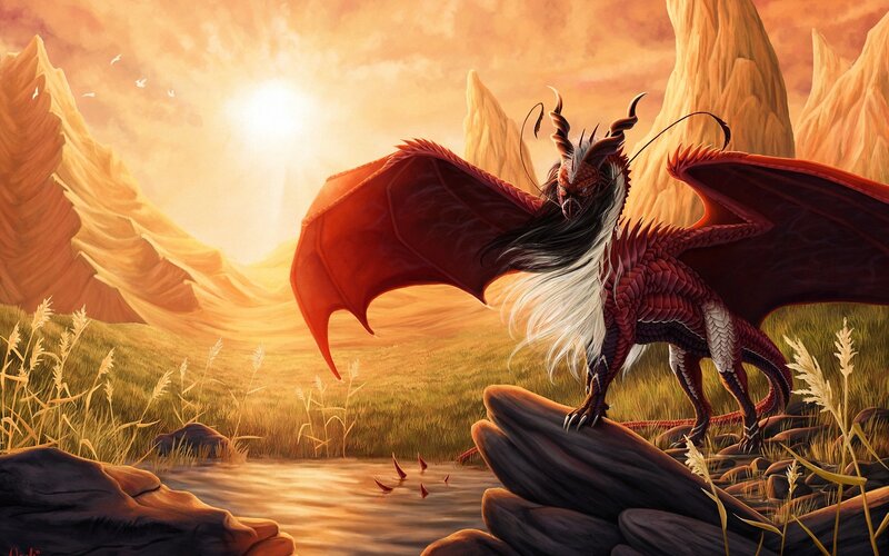Red Dragon on Rock — Dramatic, Sunset