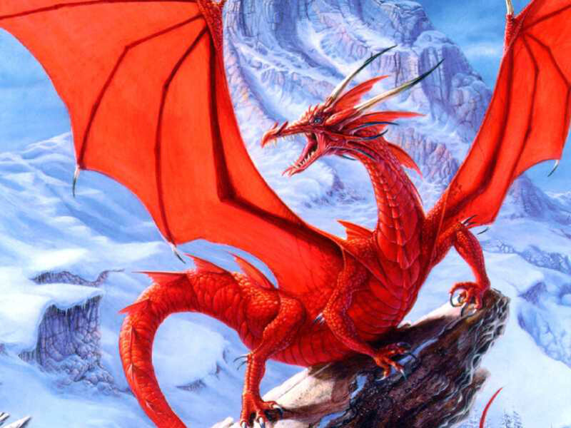 Red Dragon on Rock — Dramatic, Winter