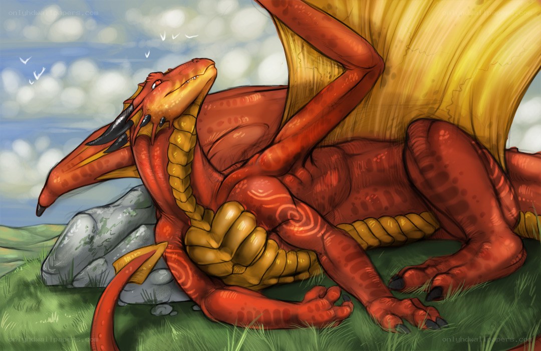 Red dragon resting in field