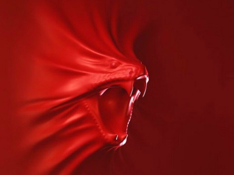 red dragon roaring