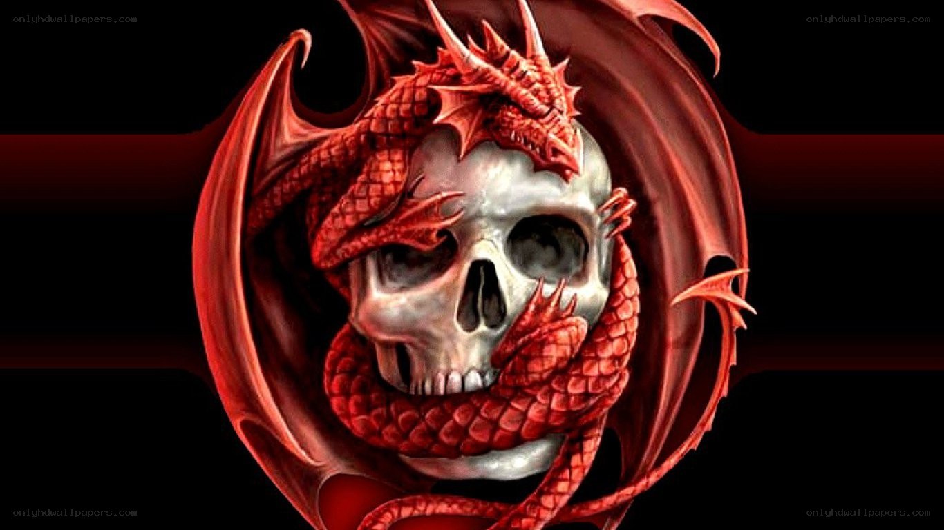 red dragon skull art