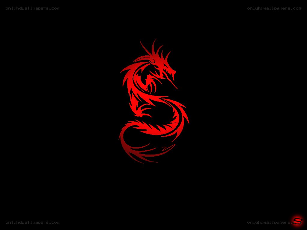 red dragon tattoo design