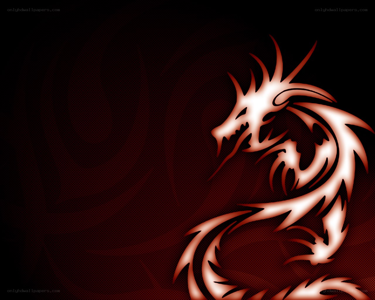 Red dragon tribal design
