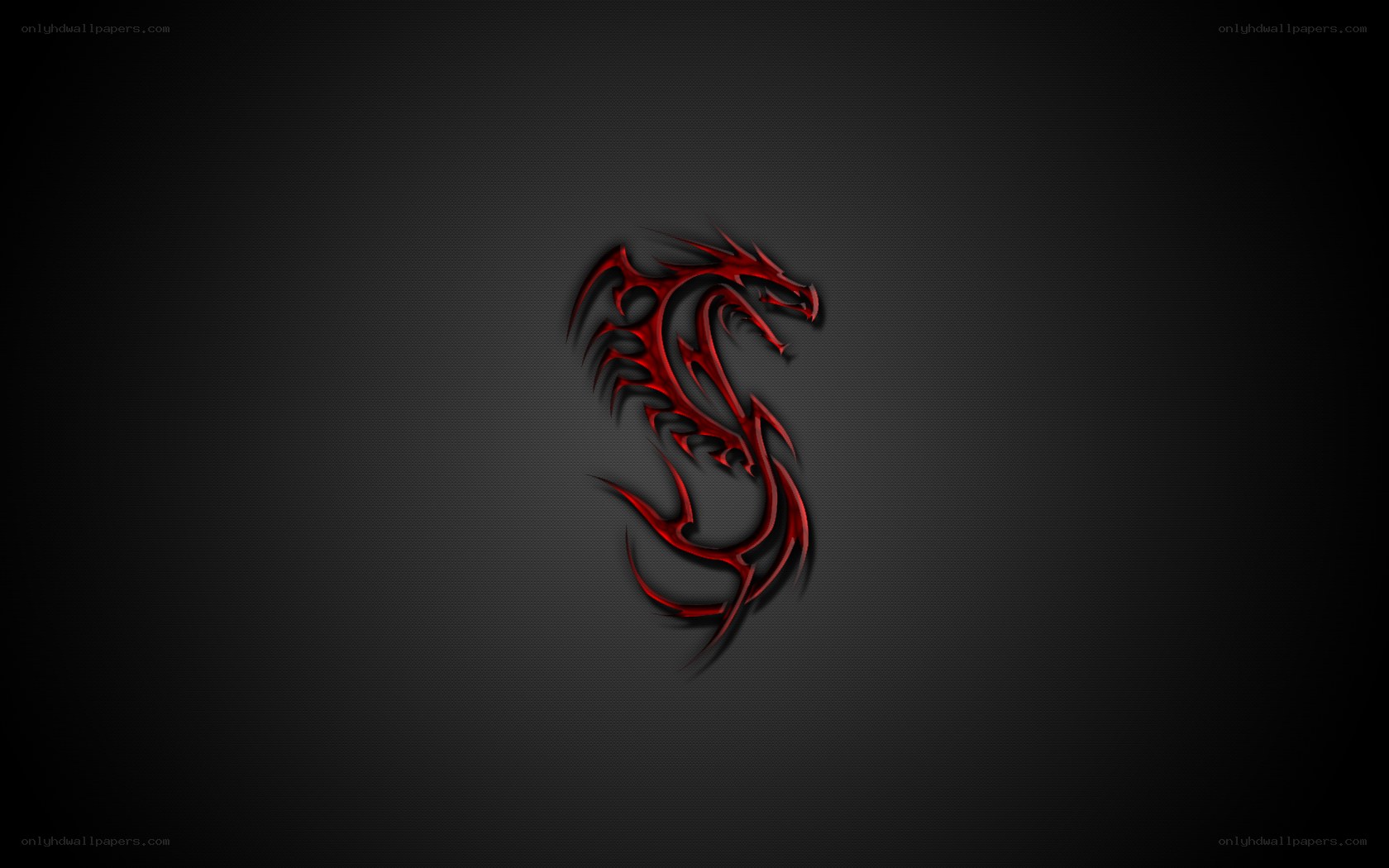Red dragon tribal design