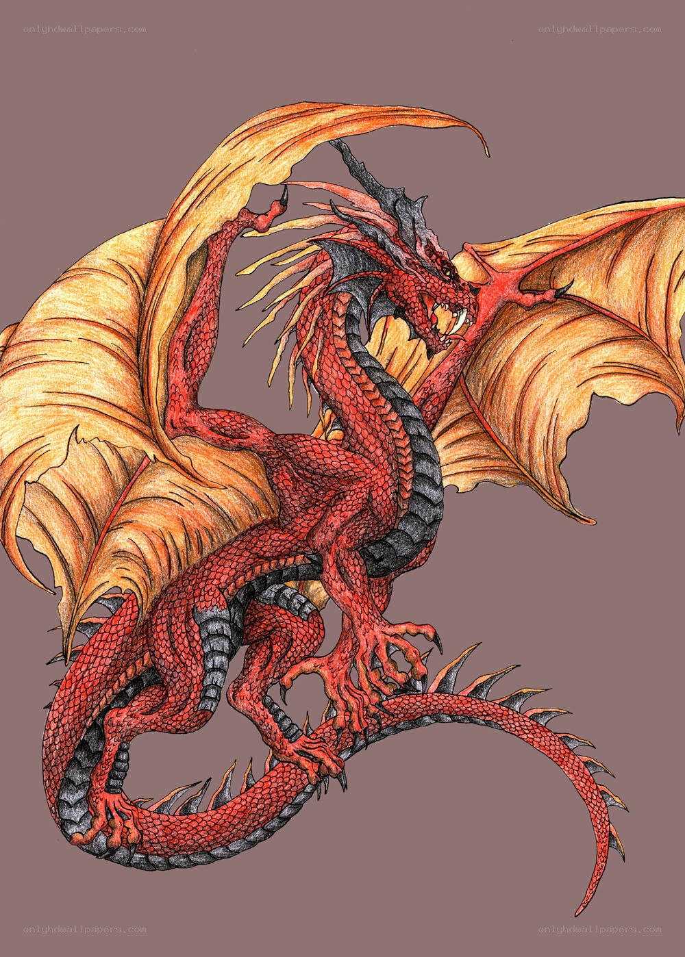 red dragon with golden wings
