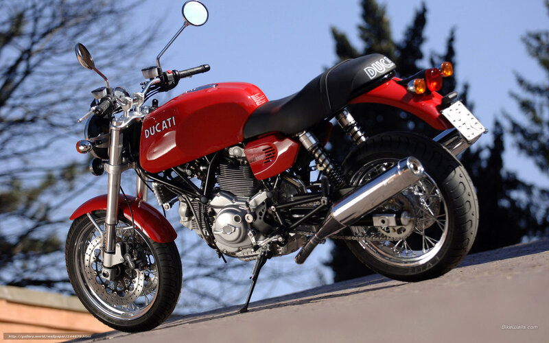 Red Ducati Motorcycle — Calm, Afternoon, Photograph, Trees