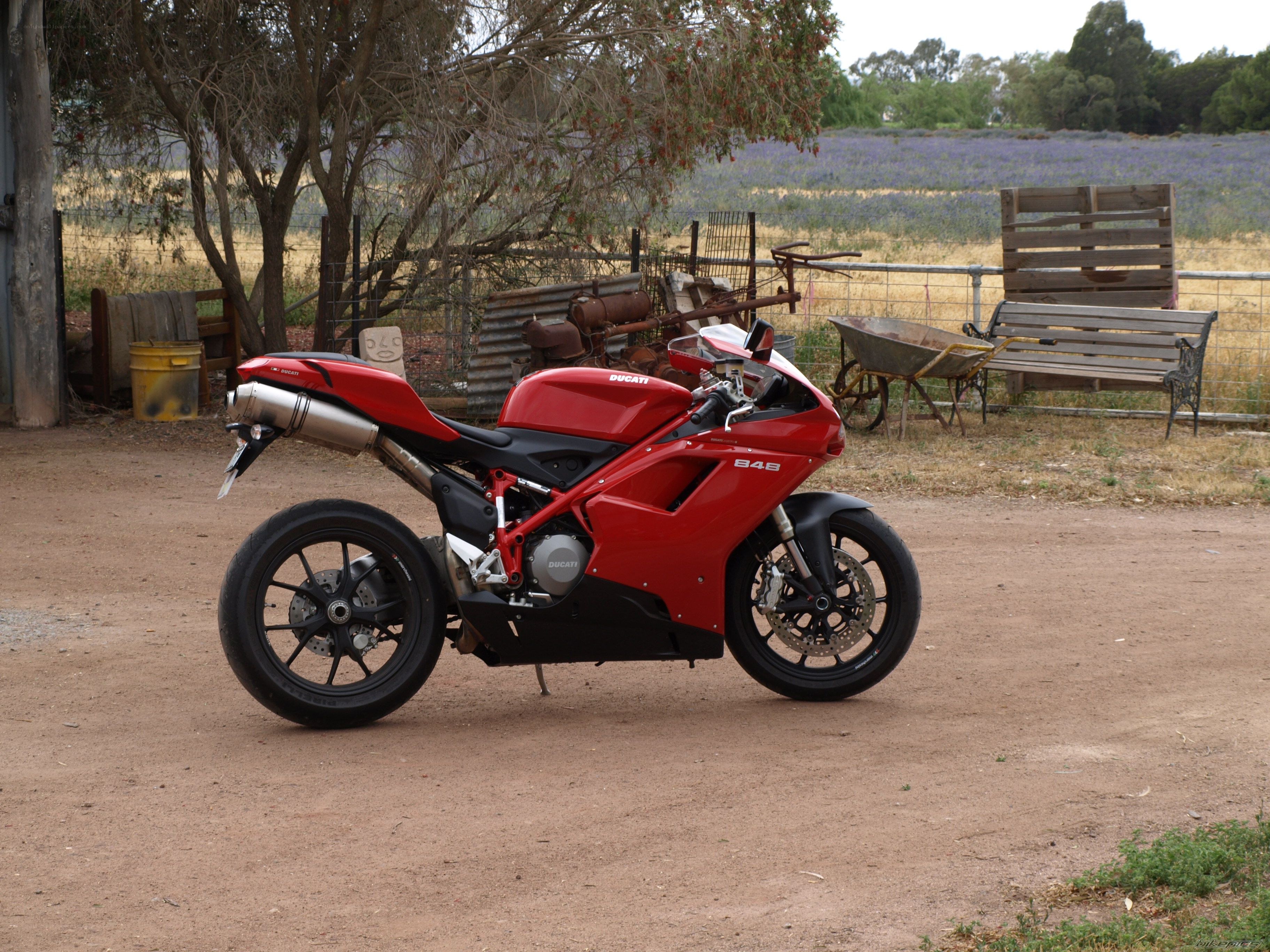 Red Ducati motorcycle in field