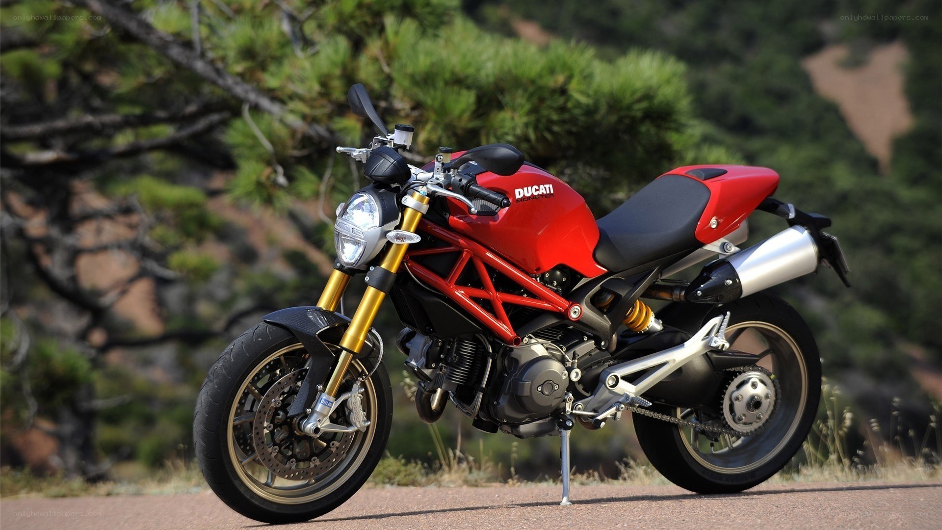 Red Ducati motorcycle on road