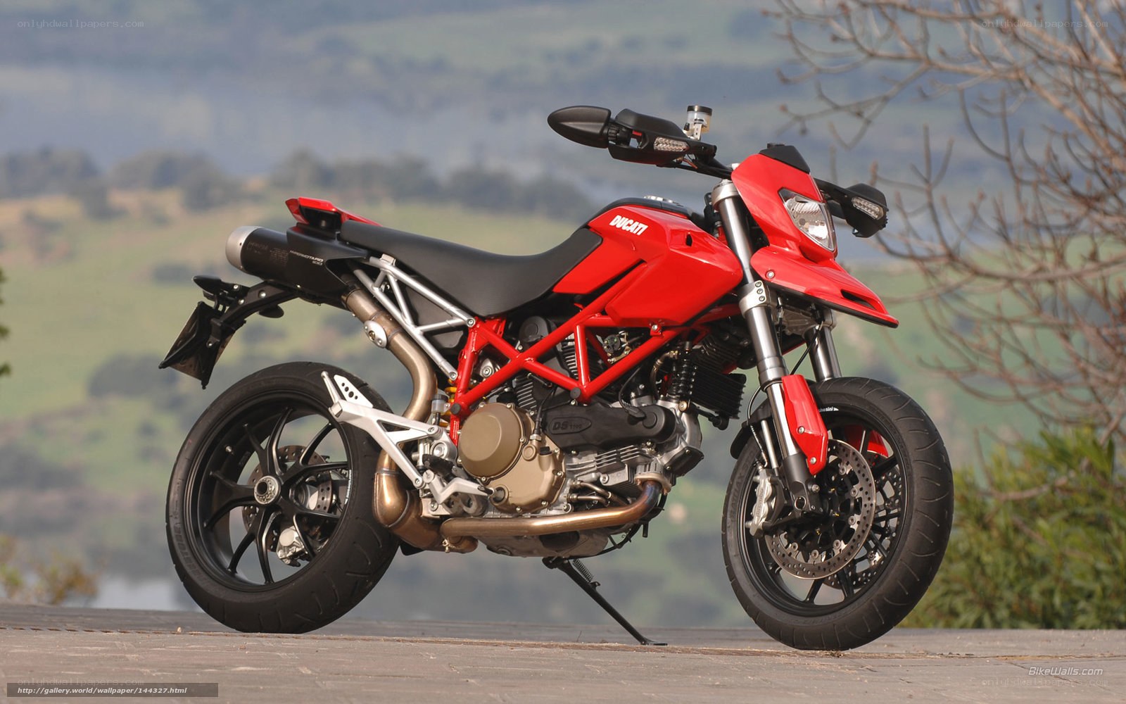 Red Ducati motorcycle on road